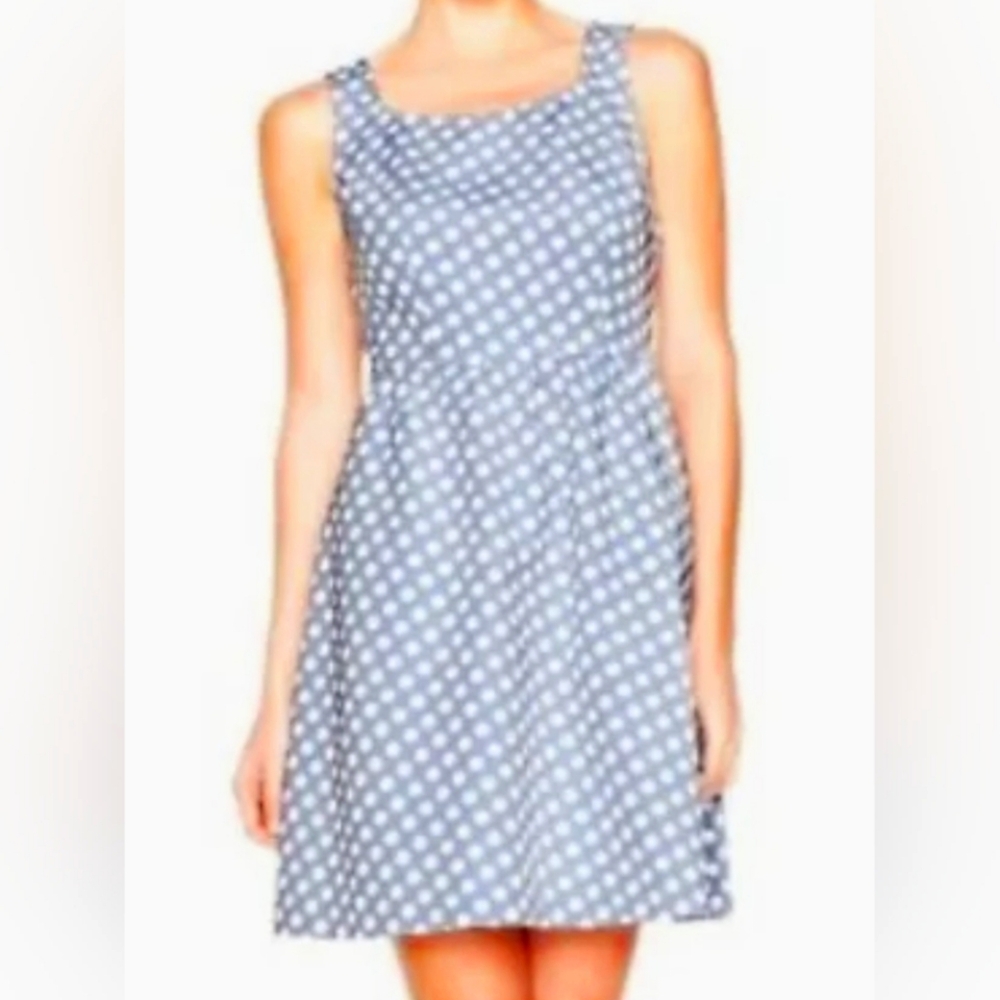 The Limited Dress, Size 12, Light Blue/White Polka Dot, Side Zip, Sleeveless